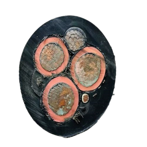 �����������ǲ���Z6���й�������ҳ����