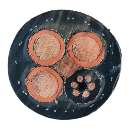 �����������ǲ���Z6���й�������ҳ����