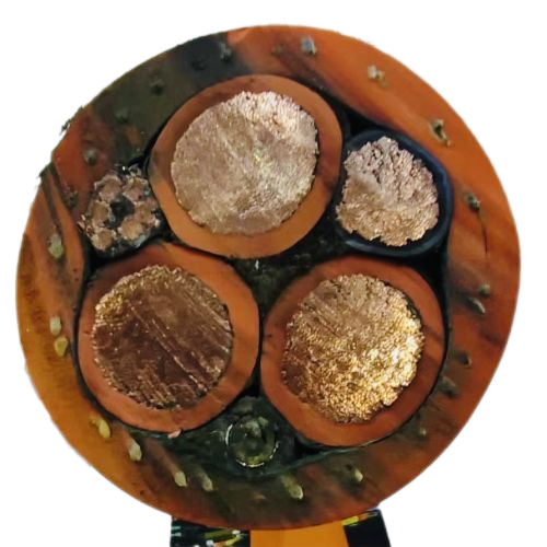 �����������ǲ���Z6���й�������ҳ����