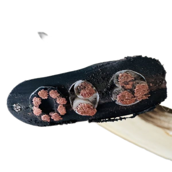 �����������ǲ���Z6���й�������ҳ����