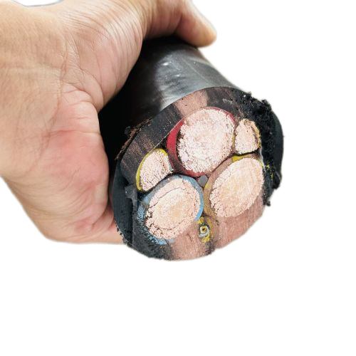 �����������ǲ���Z6���й�������ҳ����