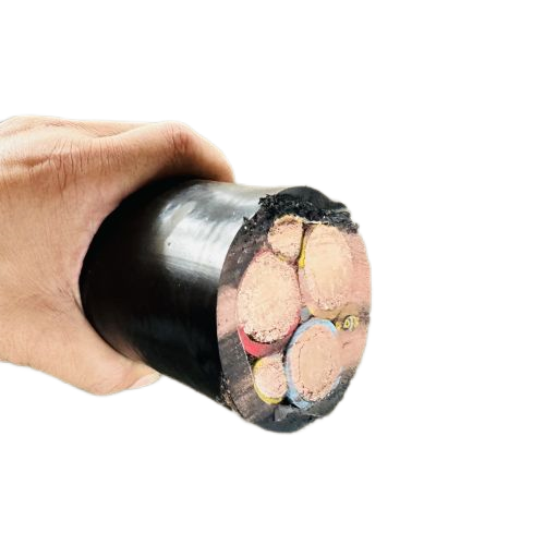 尊龙人生就是博·Z6「中国区」首页官网