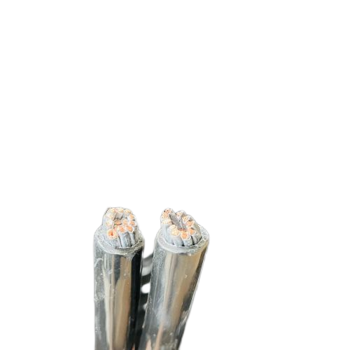 �����������ǲ���Z6���й�������ҳ����