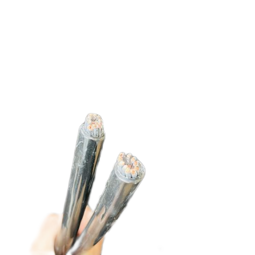 �����������ǲ���Z6���й�������ҳ����