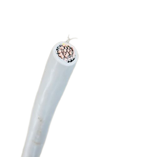 �����������ǲ���Z6���й�������ҳ����