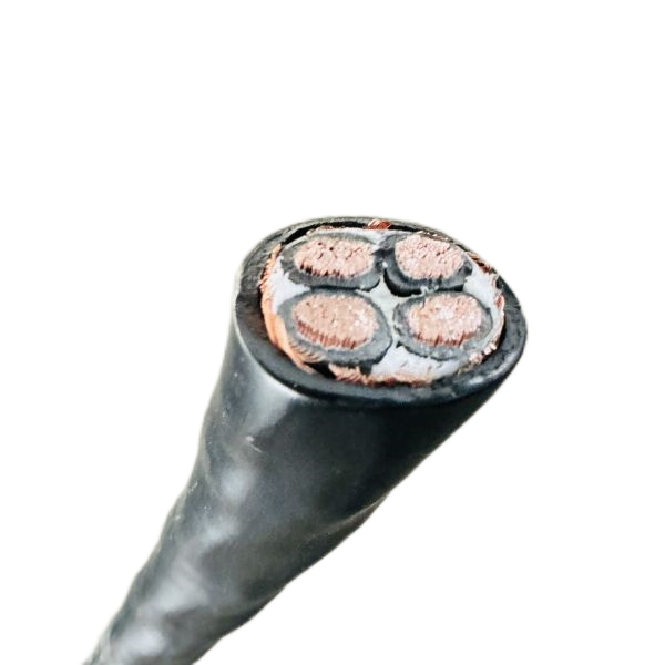 尊龙人生就是博·Z6「中国区」首页官网