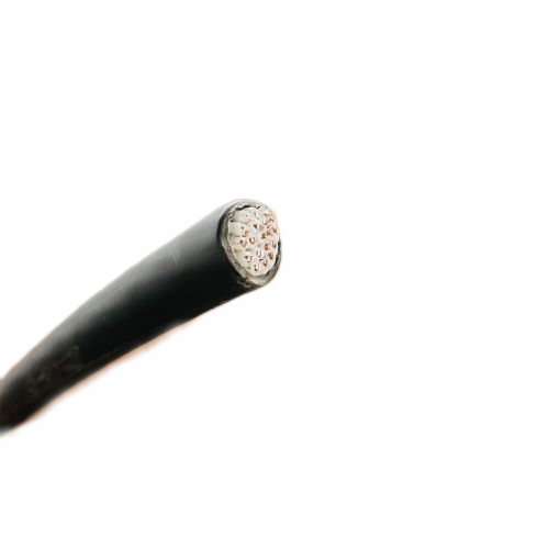 尊龙人生就是博·Z6「中国区」首页官网