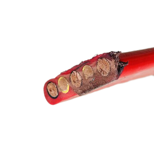 �����������ǲ���Z6���й�������ҳ����