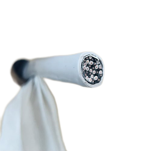 �����������ǲ���Z6���й�������ҳ����