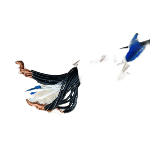 �����������ǲ���Z6���й�������ҳ����