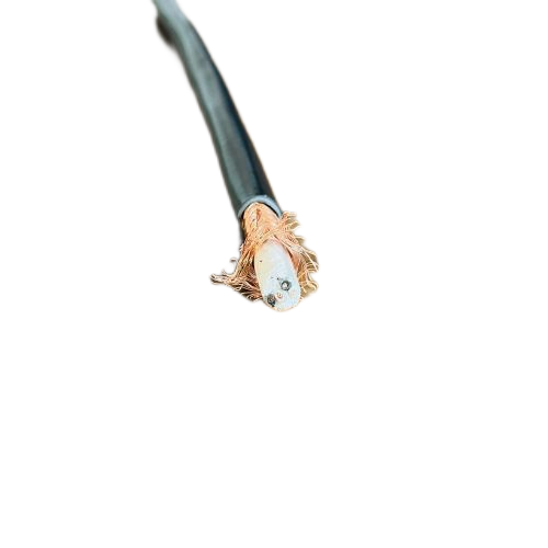 �����������ǲ���Z6���й�������ҳ����