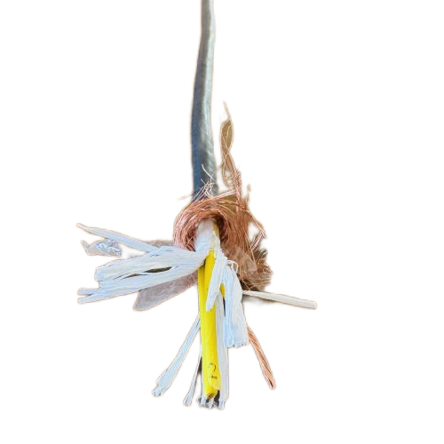 尊龙人生就是博·Z6「中国区」首页官网