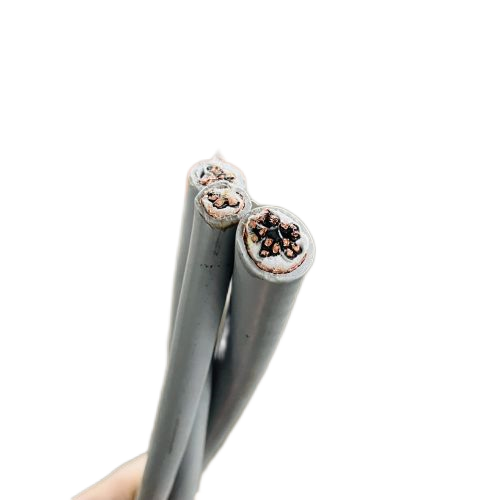 尊龙人生就是博·Z6「中国区」首页官网