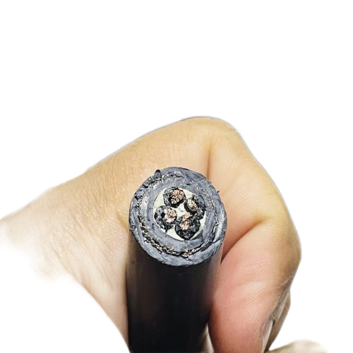 尊龙人生就是博·Z6「中国区」首页官网