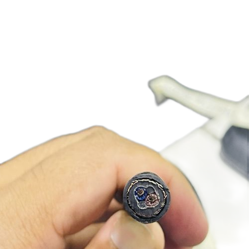 尊龙人生就是博·Z6「中国区」首页官网