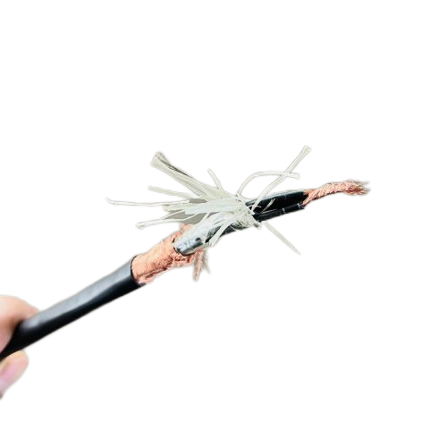 尊龙人生就是博·Z6「中国区」首页官网