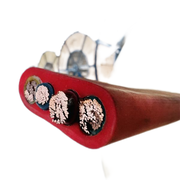 尊龙人生就是博·Z6「中国区」首页官网