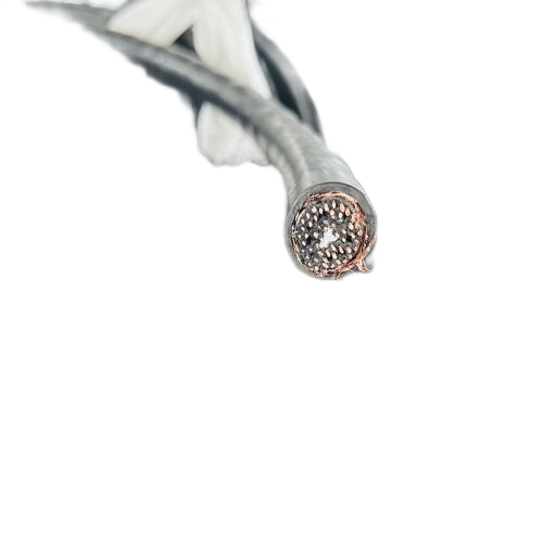 尊龙人生就是博·Z6「中国区」首页官网