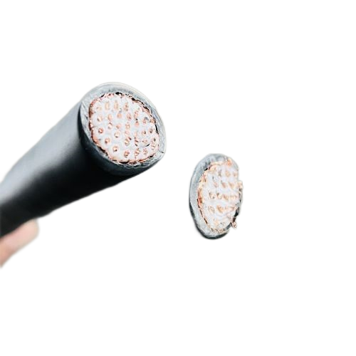 尊龙人生就是博·Z6「中国区」首页官网