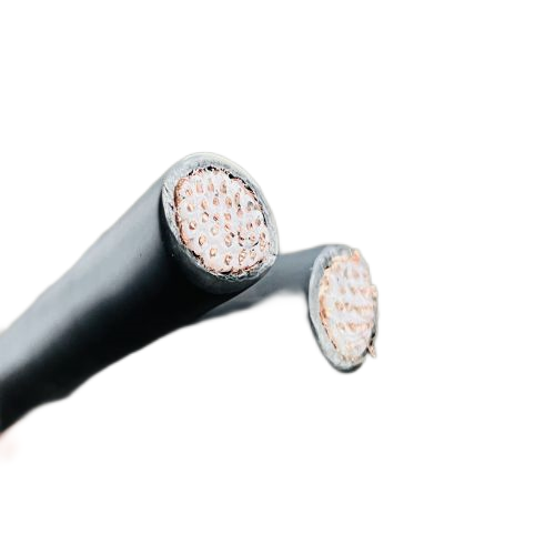 尊龙人生就是博·Z6「中国区」首页官网