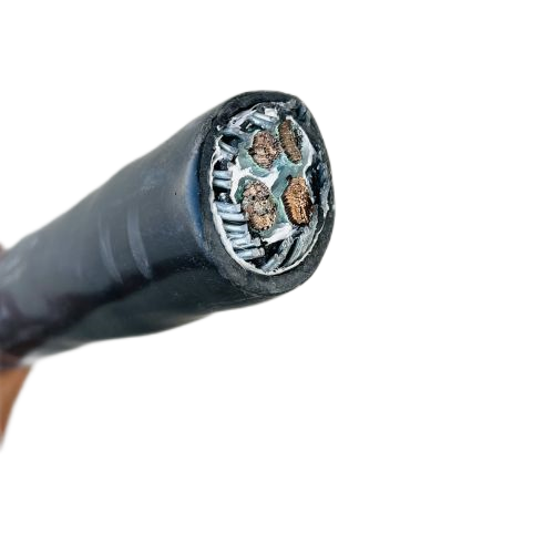 尊龙人生就是博·Z6「中国区」首页官网