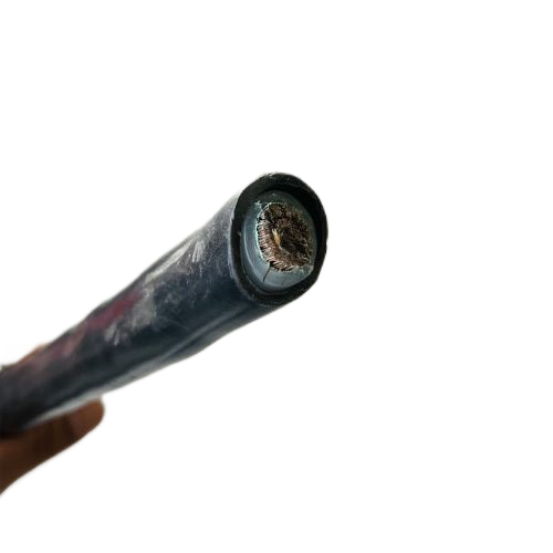 �����������ǲ���Z6���й�������ҳ����