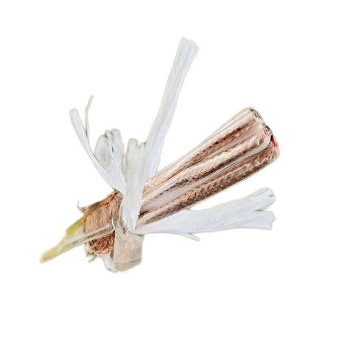 尊龙人生就是博·Z6「中国区」首页官网