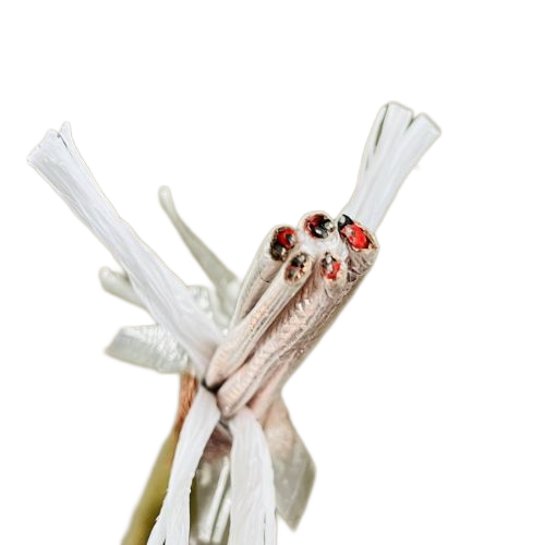 尊龙人生就是博·Z6「中国区」首页官网