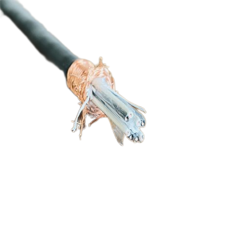 �����������ǲ���Z6���й�������ҳ����