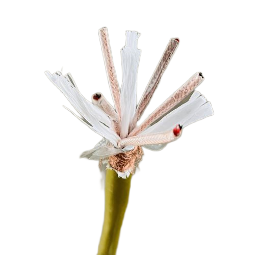 �����������ǲ���Z6���й�������ҳ����