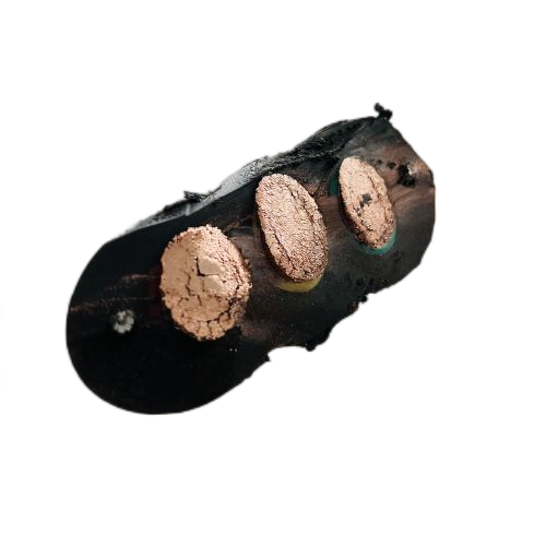 尊龙人生就是博·Z6「中国区」首页官网