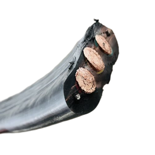 尊龙人生就是博·Z6「中国区」首页官网