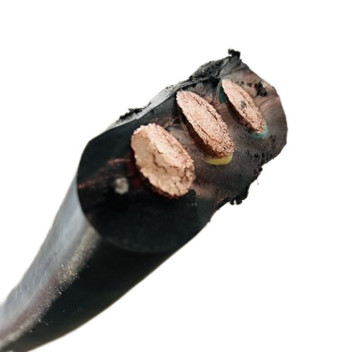 尊龙人生就是博·Z6「中国区」首页官网