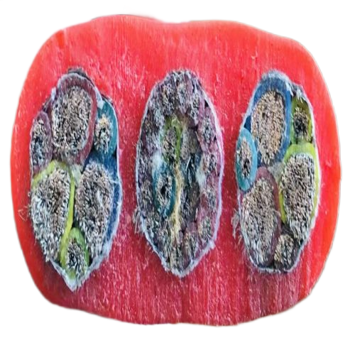 �����������ǲ���Z6���й�������ҳ����