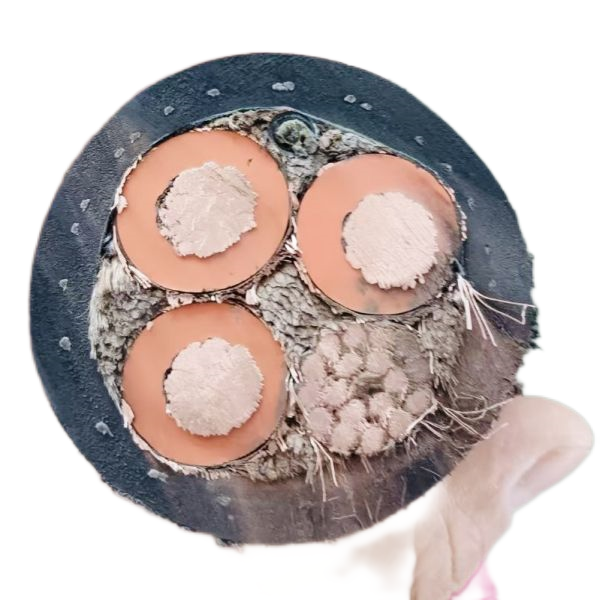 �����������ǲ���Z6���й�������ҳ����