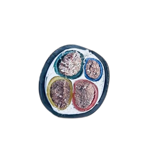 尊龙人生就是博·Z6「中国区」首页官网