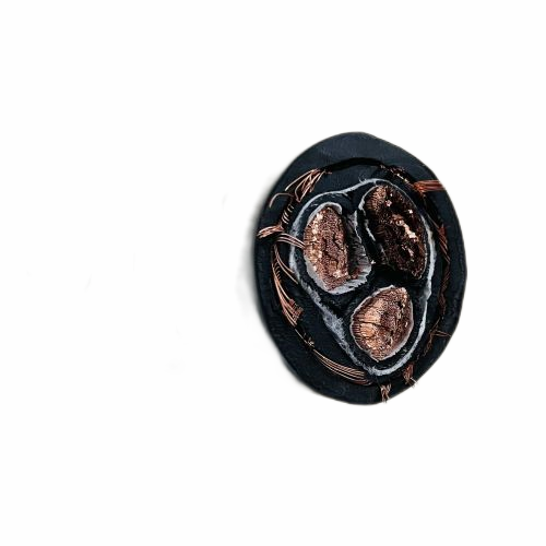 �����������ǲ���Z6���й�������ҳ����