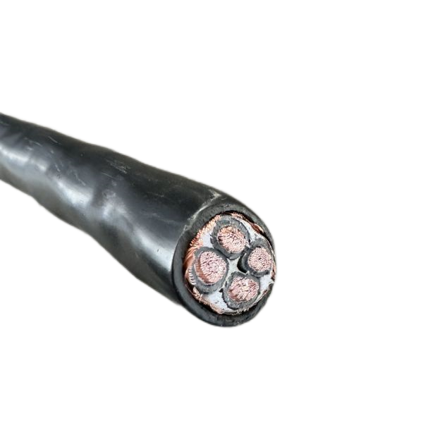 �����������ǲ���Z6���й�������ҳ����