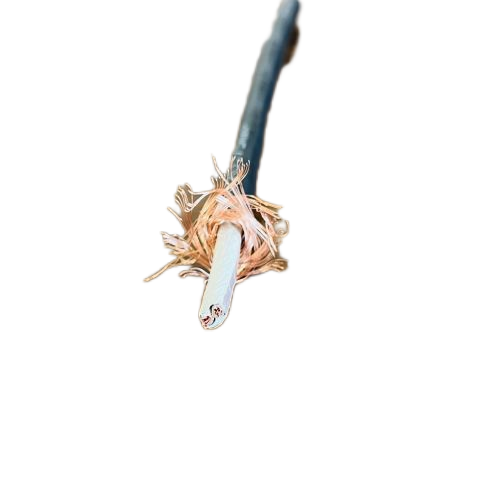 尊龙人生就是博·Z6「中国区」首页官网