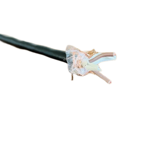 尊龙人生就是博·Z6「中国区」首页官网