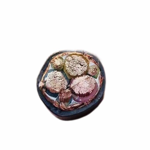 尊龙人生就是博·Z6「中国区」首页官网