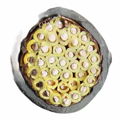 尊龙人生就是博·Z6「中国区」首页官网