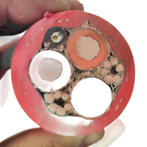 �����������ǲ���Z6���й�������ҳ����