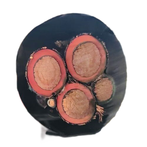 �����������ǲ���Z6���й�������ҳ����