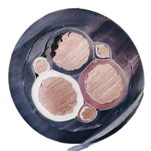 �����������ǲ���Z6���й�������ҳ����