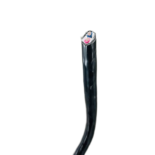 尊龙人生就是博·Z6「中国区」首页官网