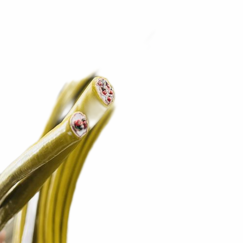 尊龙人生就是博·Z6「中国区」首页官网