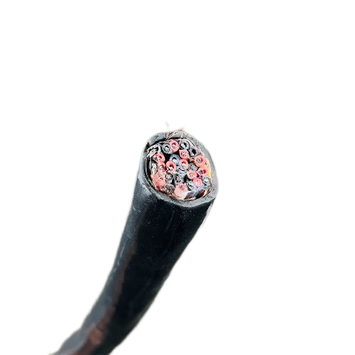 尊龙人生就是博·Z6「中国区」首页官网