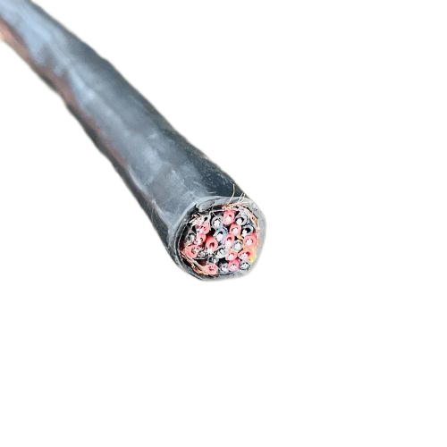 尊龙人生就是博·Z6「中国区」首页官网