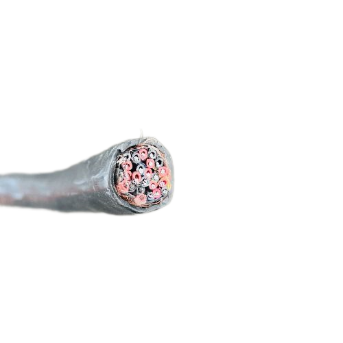 尊龙人生就是博·Z6「中国区」首页官网